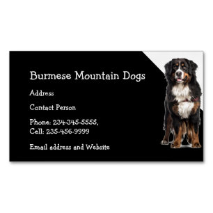 Burmese Mountain Dogs Breeder Pet Sitter  Business Card Magnet