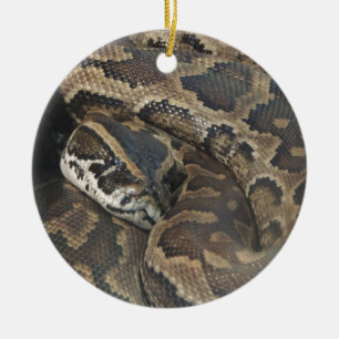 Burmese Python Ceramic Ornament