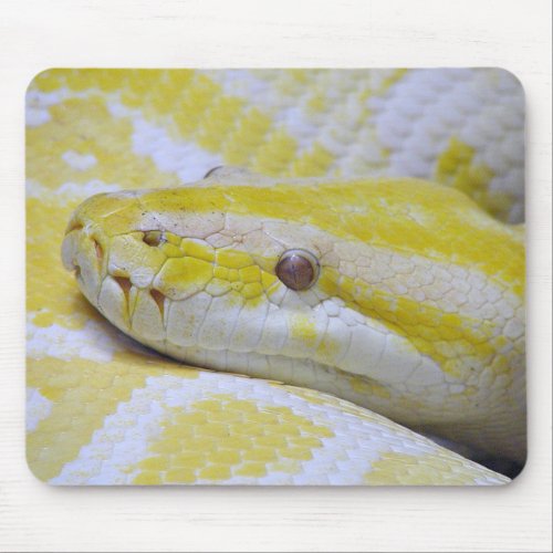 Burmese python mouse pad