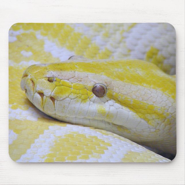 Burmese python mouse pad (Front)