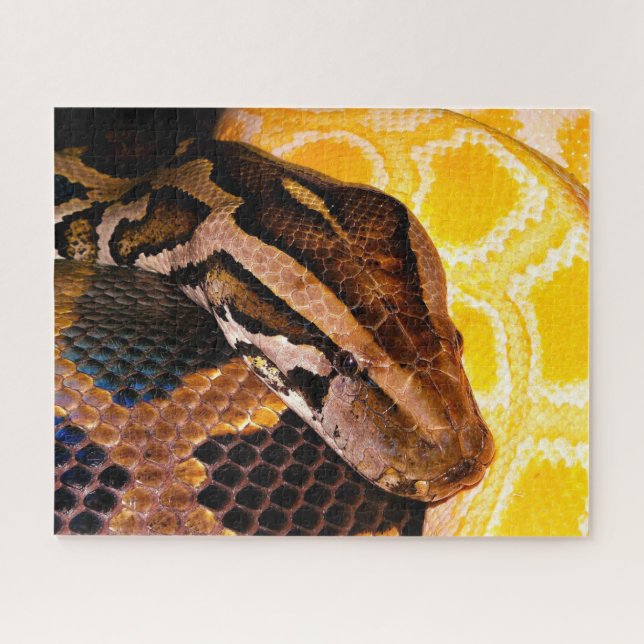 Burmese Python Snake Jigsaw Puzzle (Horizontal)