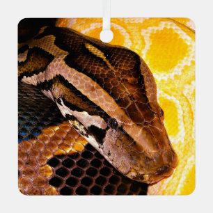 Burmese Python Snake Metal Ornament