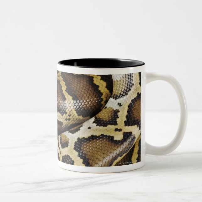 Burmese python Two-Tone coffee mug (Right)