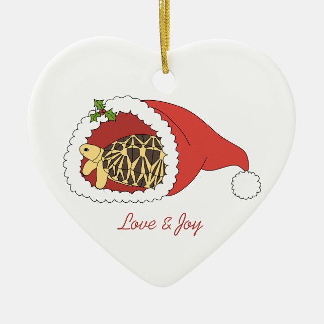 Burmese Star Tortoise Ornament (santa hat) (Front)