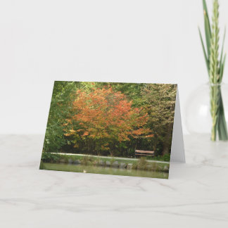 Burnaby's Central Park - Autumn colors Card