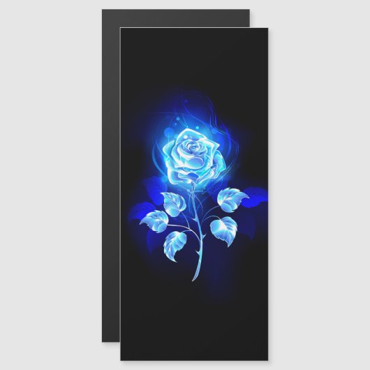 Burning Blue Rose (Front/Back)