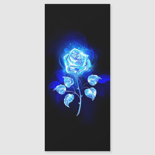 Burning Blue Rose (Front)