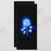 Burning Blue Rose (Front/Back)