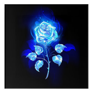 Burning Blue Rose Acrylic Print