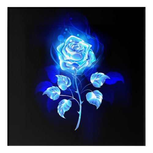 Burning Blue Rose Acrylic Print