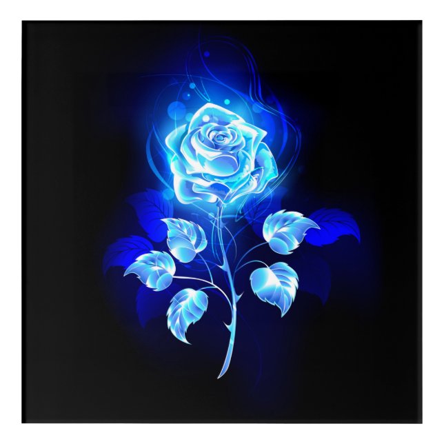 Burning Blue Rose Acrylic Print (Front)