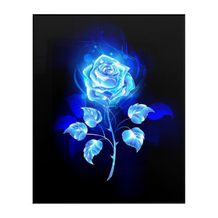 Burning Blue Rose Acrylic Print