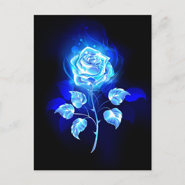 Burning Blue Rose Announcement Postcard (Front)