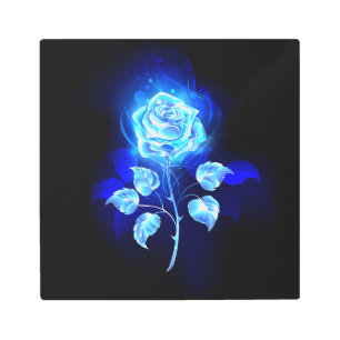 Burning Blue Rose Metal Print