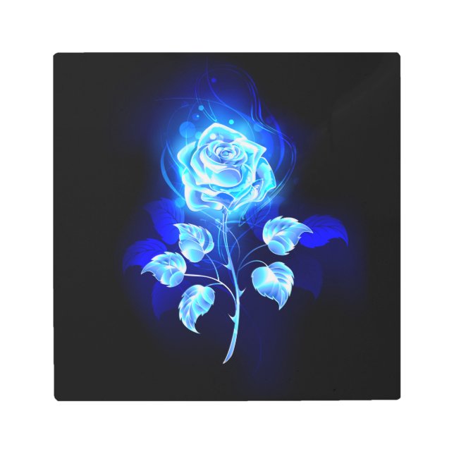 Burning Blue Rose Metal Print (Front)