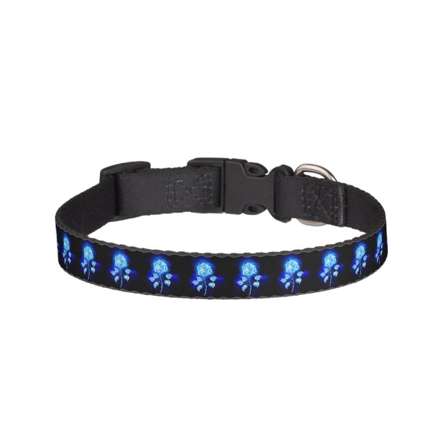 Burning Blue Rose Pet Collar (Front)
