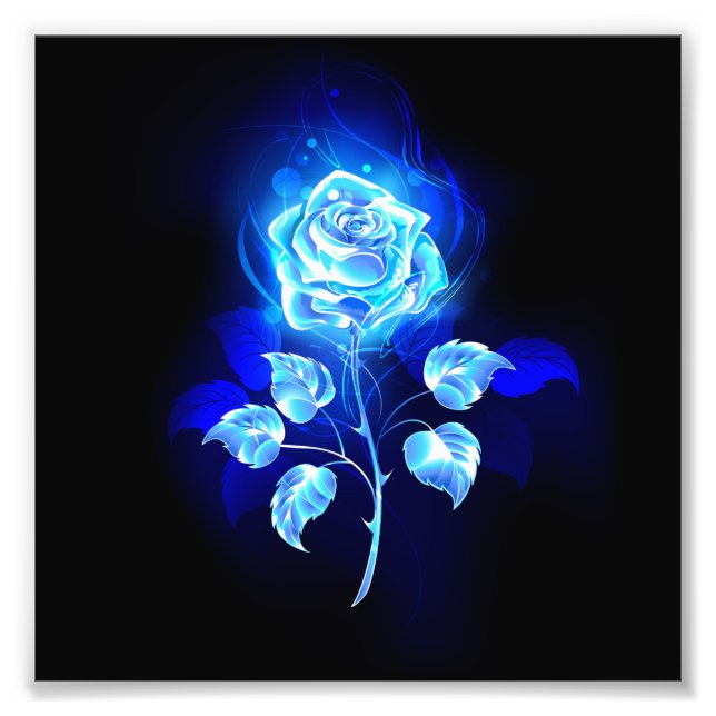 Burning Blue Rose Photo Print (Front)