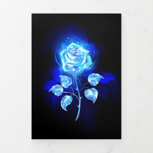 Burning Blue Rose Tri-Fold Holiday Card