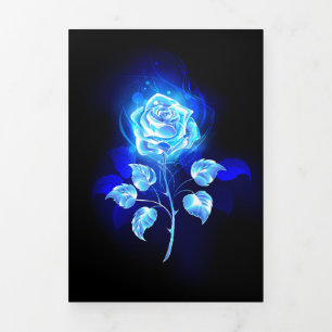 Burning Blue Rose Tri-Fold Program