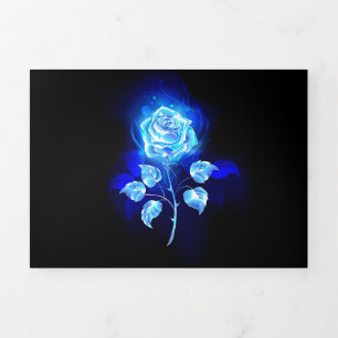 Burning Blue Rose Tri-Fold Program