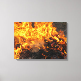 Burning Brush Canvas Print