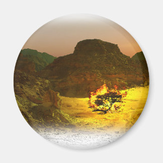 Burning Bush 1 Magnet