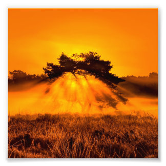 Burning Bush Photo Print