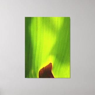 Burning Edge of Life Abstract Green Leaf Nature Canvas Print
