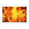 Burning Fire