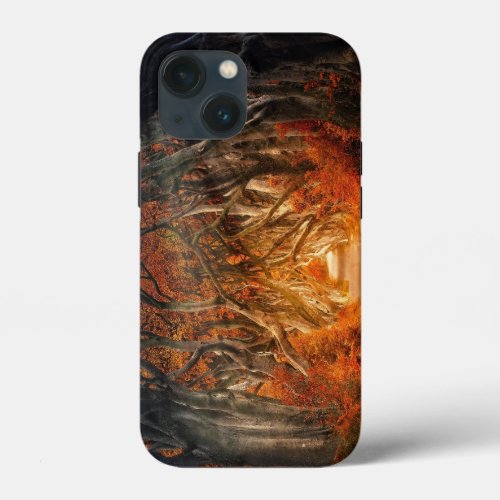 Burnt Forest iPhone 13 Mini Case