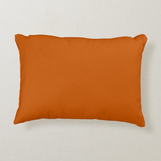 Burnt Orange Accent Pillow (Back)
