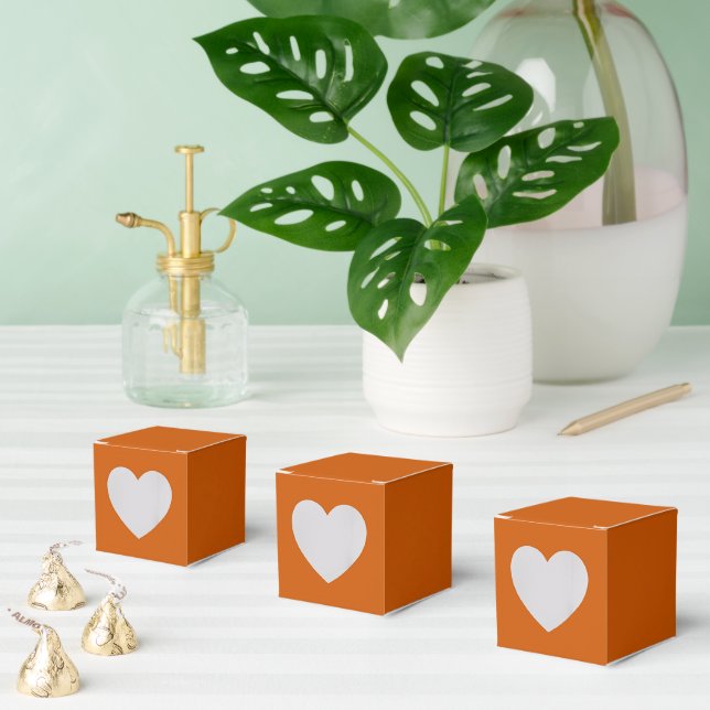Burnt Orange Favor Boxes (Multiple)
