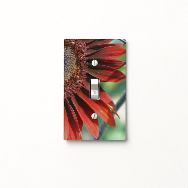 Burnt Orange Sunflower Petals Nature Light Switch Cover (In Situ)