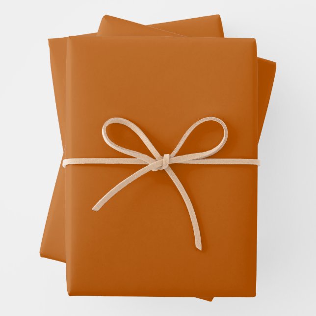 Burnt Orange Wrapping Paper Sheets (In situ)