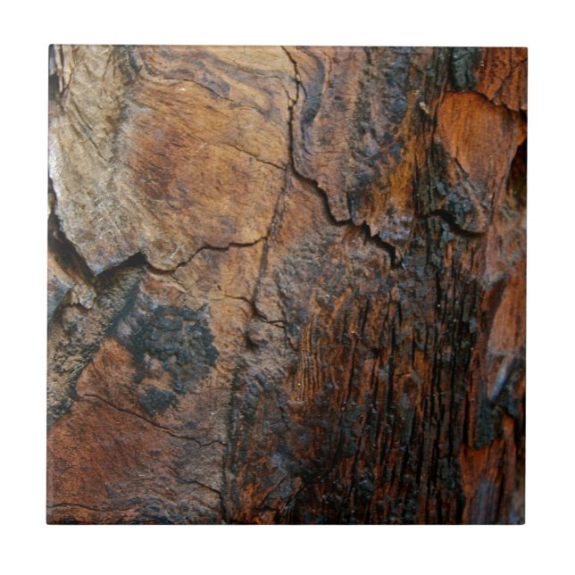 BURNT SEQUOIA TREE BARK DETAIL CERAMIC TILE (Front)