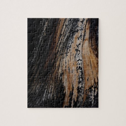 Burnt Tree Bark Texture Jigsaw Puzzle