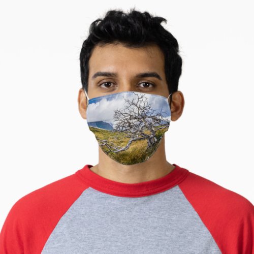 Burnt tree Torres del Paine Chile Adult Cloth Face Mask