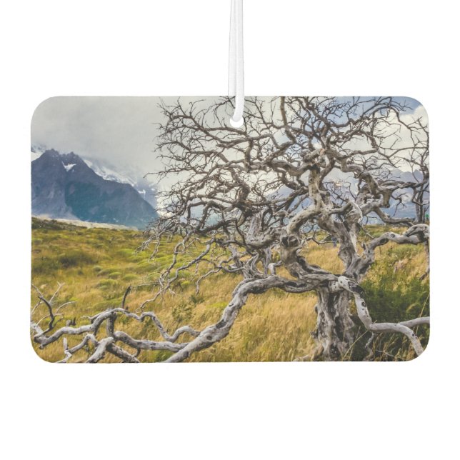 Burnt tree, Torres del Paine, Chile Air Freshener (Front)