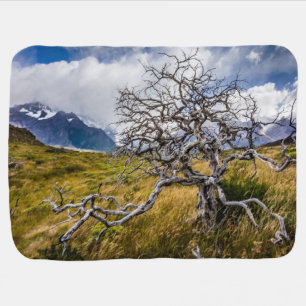 Burnt tree, Torres del Paine, Chile Baby Blanket