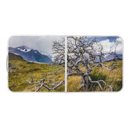 Burnt tree Torres del Paine Chile Beer Pong Table