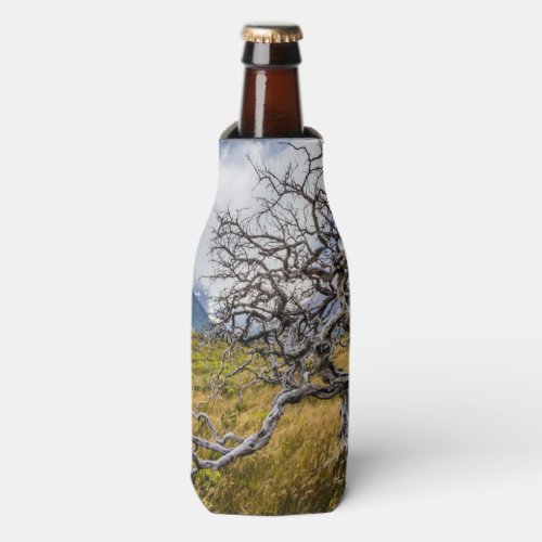 Burnt tree Torres del Paine Chile Bottle Cooler