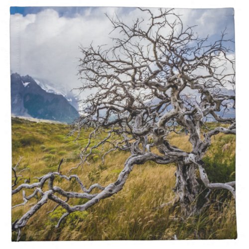 Burnt tree Torres del Paine Chile Cloth Napkin