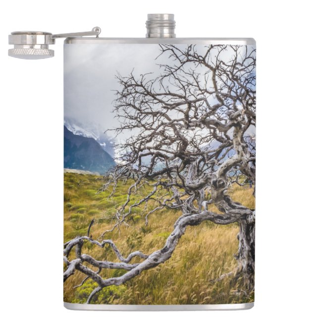 Burnt tree, Torres del Paine, Chile Flask (Opened)