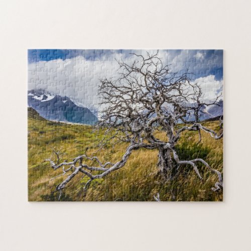 Burnt tree Torres del Paine Chile Jigsaw Puzzle