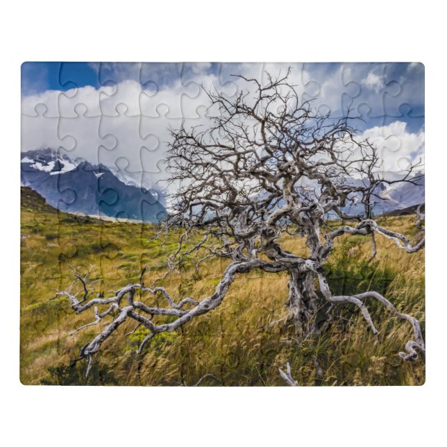Burnt tree, Torres del Paine, Chile Jigsaw Puzzle (Puzzle Horizontal)