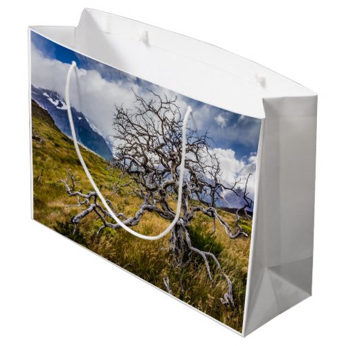 Burnt tree Torres del Paine Chile Large Gift Bag