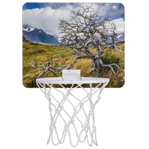 Burnt tree Torres del Paine Chile Mini Basketball Hoop