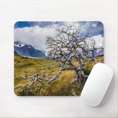 Burnt tree Torres del Paine Chile Mouse Pad