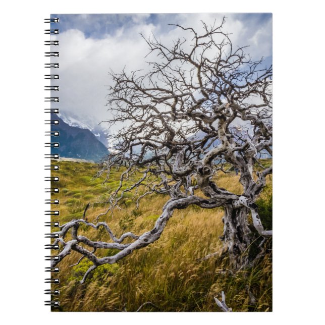 Burnt tree, Torres del Paine, Chile Notebook (Front)