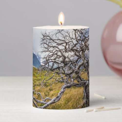 Burnt tree Torres del Paine Chile Pillar Candle